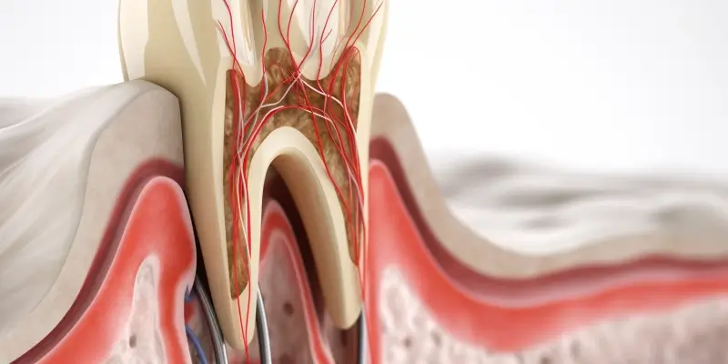 Endodoncja ranking Szczecin